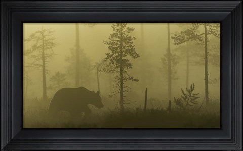 Framed Morning Fog Print
