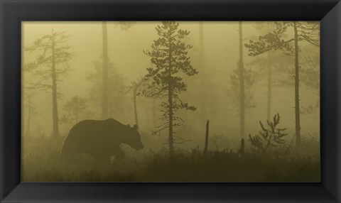 Framed Morning Fog Print