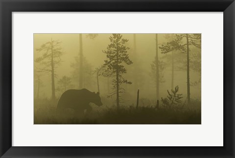 Framed Morning Fog Print