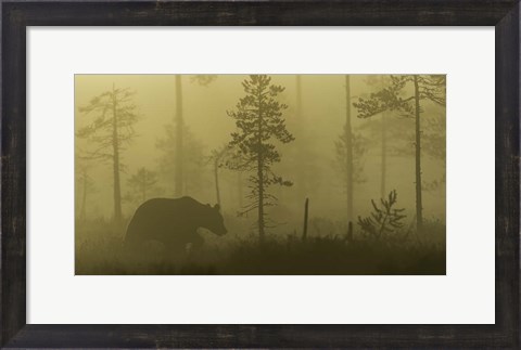 Framed Morning Fog Print