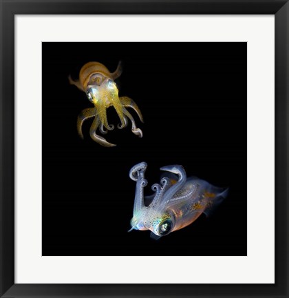 Framed Sea Jewels Print
