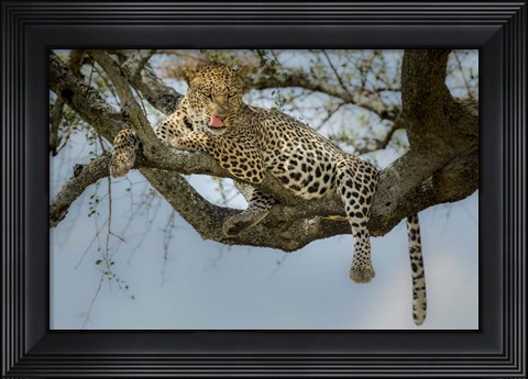Framed How Tasty You Are! Print