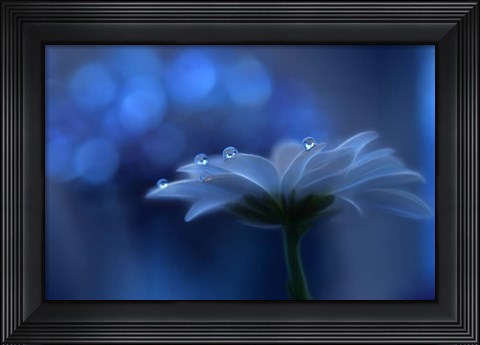 Framed Space Dreams Print