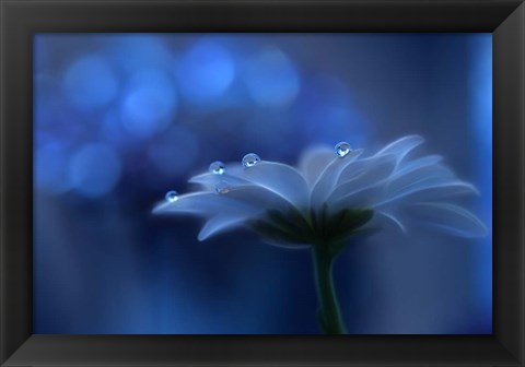 Framed Space Dreams Print