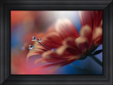 Framed Inmost Print