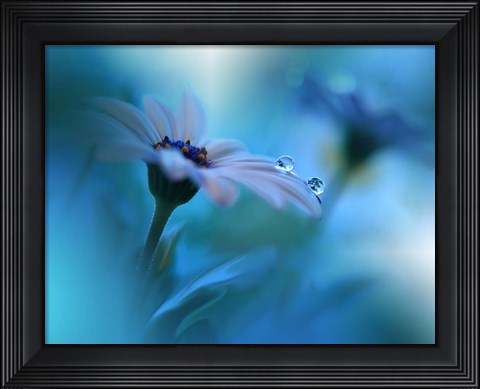 Framed Beyond The Visible Print