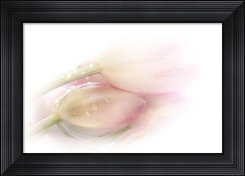 Framed Touching Print