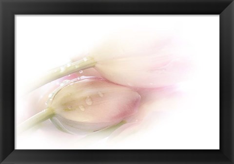 Framed Touching Print