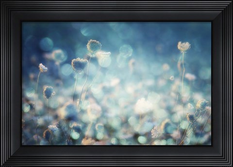 Framed Diamonds Print