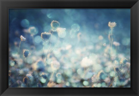 Framed Diamonds Print