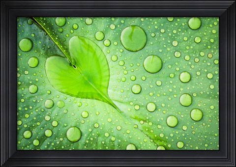 Framed Heart Print