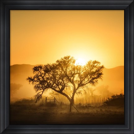 Framed Golden Sunrise Print