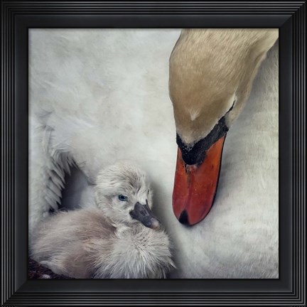 Framed Close To You Print
