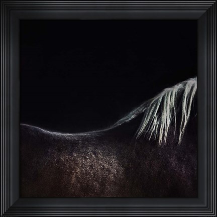 Framed Naked Horse Print