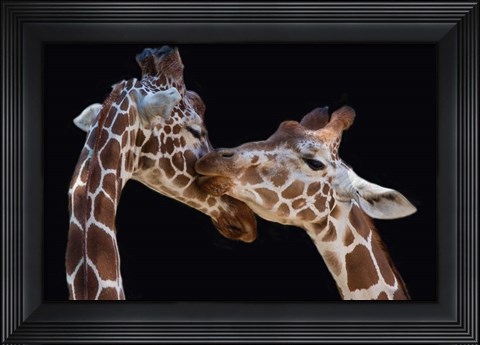 Framed Kiss Print