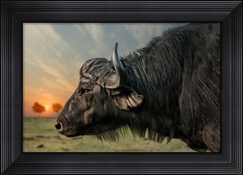 Framed Imagine Print