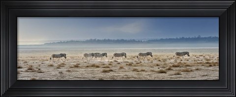 Framed Promenade Print