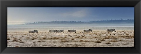 Framed Promenade Print