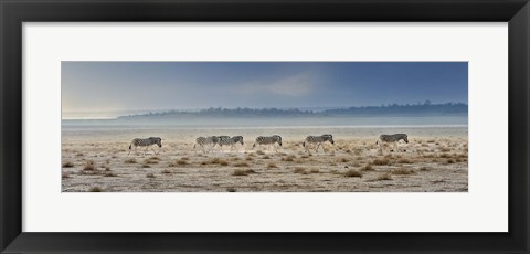 Framed Promenade Print