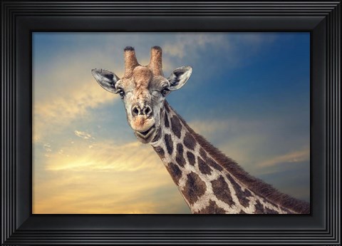 Framed Friendly Giant Print