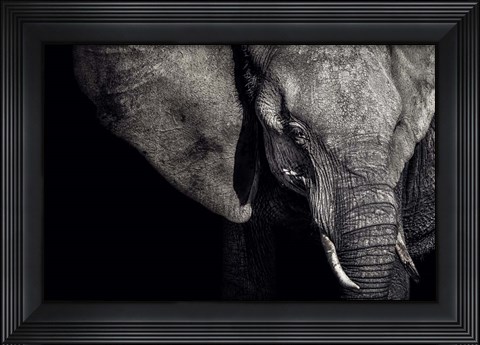 Framed Matriarch Print