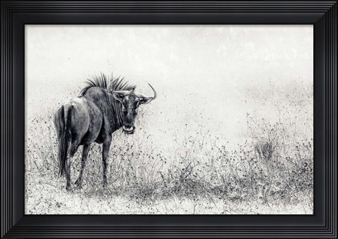 Framed Endless Grass-Fields Print
