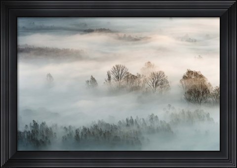 Framed Winter Fog Print