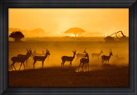Framed Be Careful Print