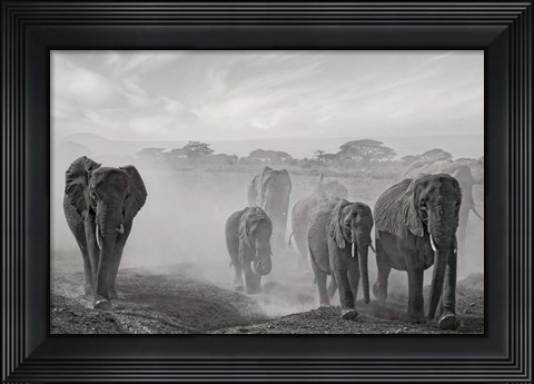 Framed Sequence Of Emotion Print