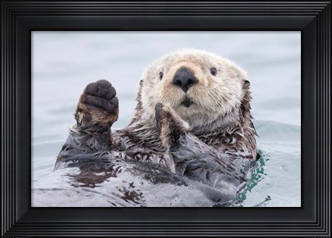 Framed Yesterday I Caught A Fish This Big! - Otter, Alaska Print