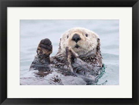 Framed Yesterday I Caught A Fish This Big! - Otter, Alaska Print