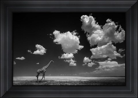 Framed Gone With The Clouds Print