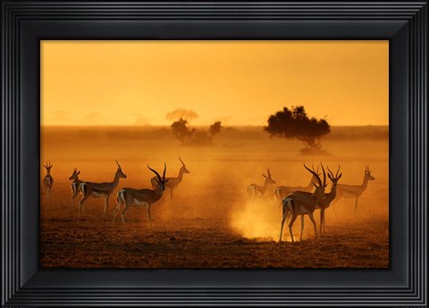 Framed Sentinels Print