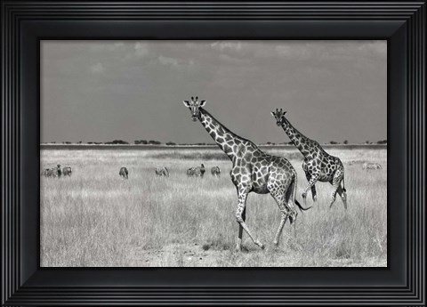 Framed Tourists Spend Print