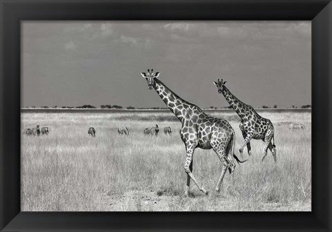 Framed Tourists Spend Print