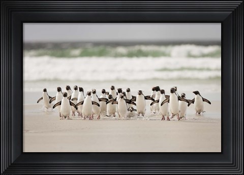 Framed Desembarco Print