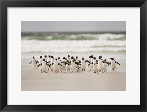 Framed Desembarco Print