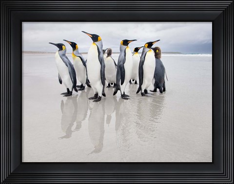 Framed Bodyguard Print