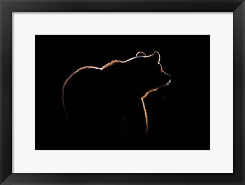 Framed Highlight Print