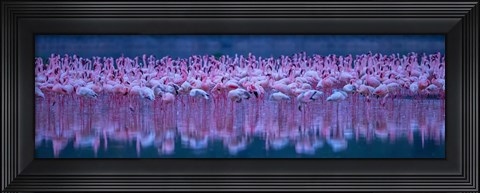 Framed Flamingos Print