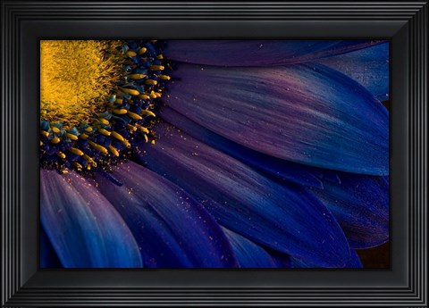Framed Blue Rays Print