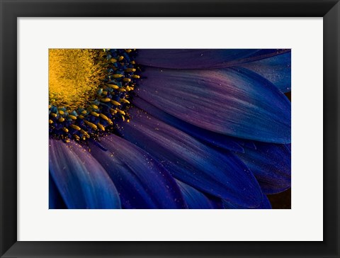 Framed Blue Rays Print