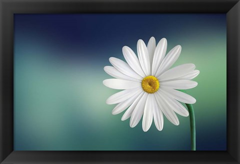 Framed Flower Print