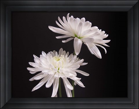 Framed Simple Beauty Print