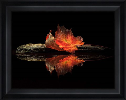 Framed Autumn Colors Print
