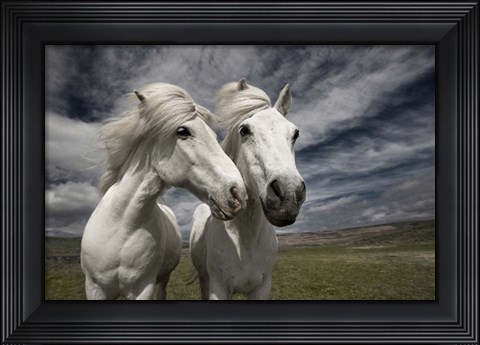 Framed Inseparables Print