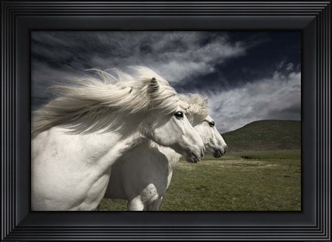 Framed Interplay Print