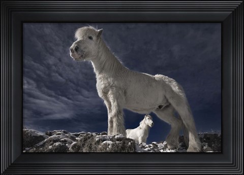 Framed Partners II Print