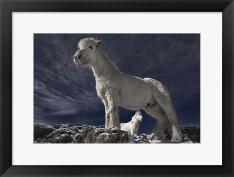 Framed Partners II Print