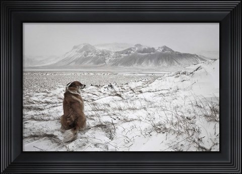 Framed Snowstorm Print
